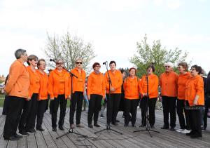 opcp (83)